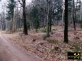 Granitsand-Grube am Westhang des Hirschenstein bei Hartmannsdorf nahe Kirchberg, Erzgebirge, Sachsen, (D) (2) 02.03.2014.JPG